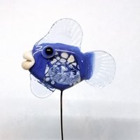 Cutest blue fish for Kim