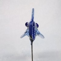 Cutest blue fish for Kim