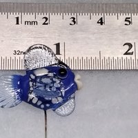 Cutest blue fish for Kim