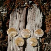 Shell Fan miniature flower glass headpins;  tiny small mini glass flowers on wire; individually crafted lampwork
