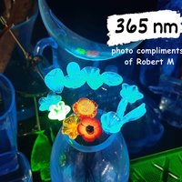 SOFT BLUE GLOW uv reactive glass flowers; miniature tiny small glass flowers on wire; individually crafted lampwork; soft blue glows 395nm