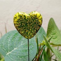 Glass Heart Plant Pick: Green Frog Skin Heart on 5in wire. Use for floral bouquet, plants, jewelry, gifts; each unique Measures 3/4in