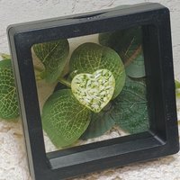 My Heart Glows! Uranium Small Heart  3/4in, vasoline glass with white swirls. lampwork pocket heart, cabachon, wire wrapping, jewelry, curio