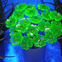 Uranium Glass 4 leaf Clover Shamrock, Luck of the Irish, green sprinkle frit; lampwork plant pick on 5in wire. Bouquet, Irish gift, 395nm