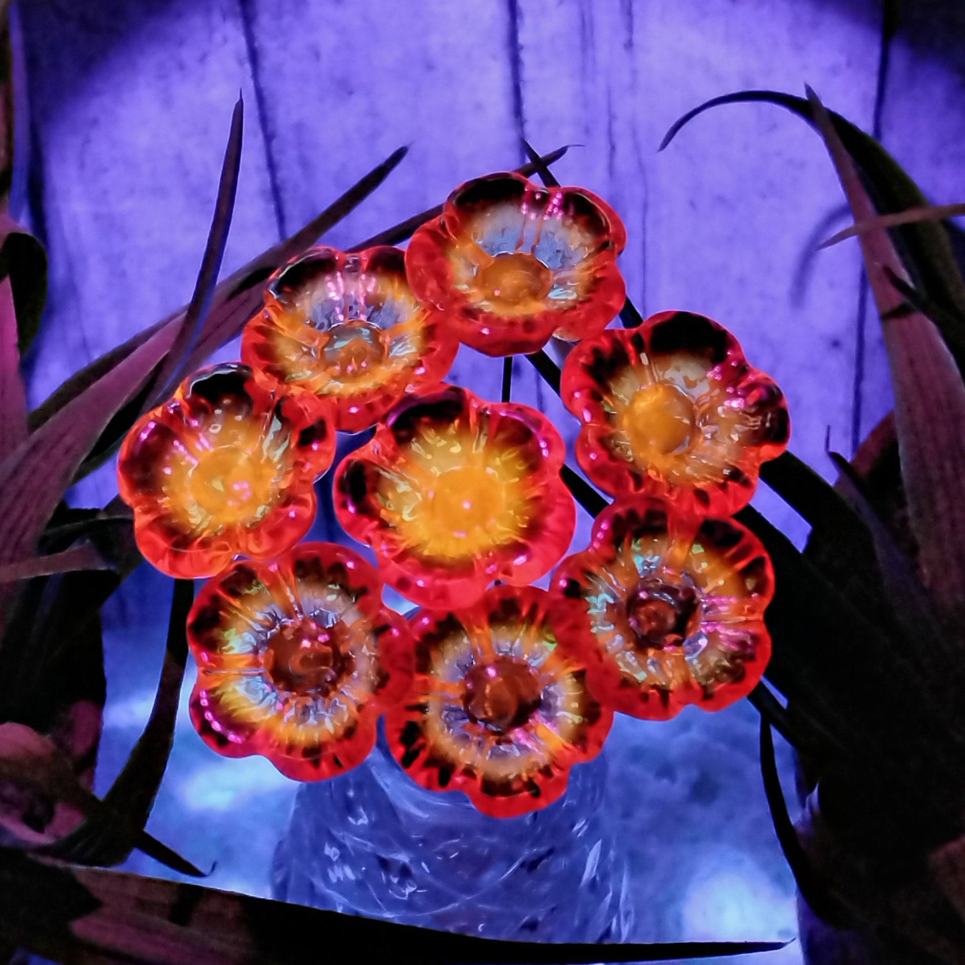 FIRE UV Reactive translucent ~glass flower miniature tiny small glass flowers on wire headpins; individually crafted lampwork; amber/red UV