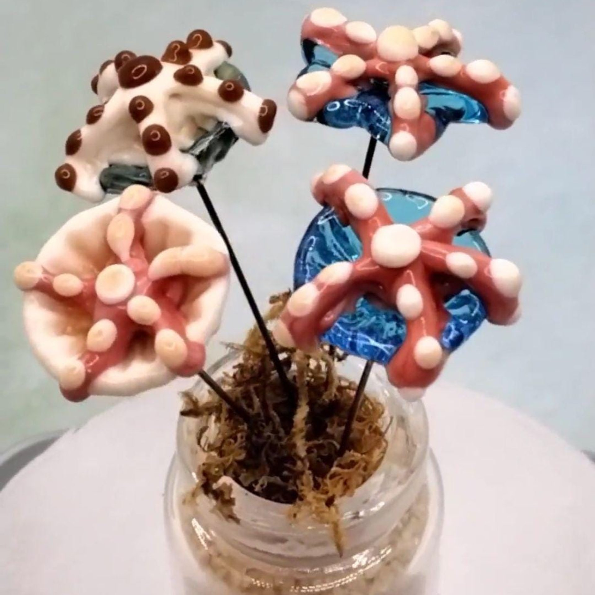 Glass Starfish plant pick glass headpin (glass on wire) crafted on stainless steel wire tiny glass flower individually handcrafted lampwork