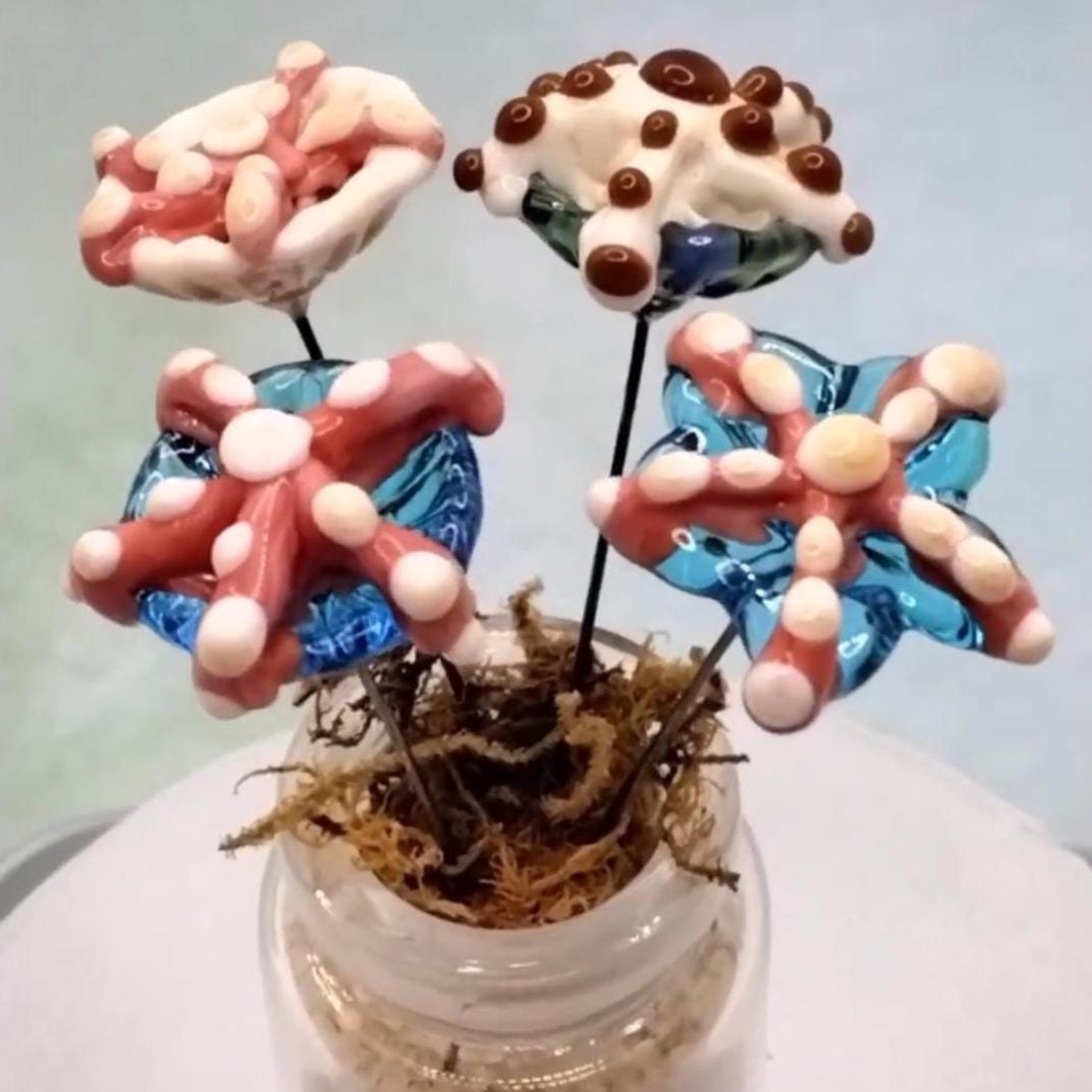 Glass Starfish plant pick glass headpin (glass on wire) crafted on stainless steel wire tiny glass flower individually handcrafted lampwork