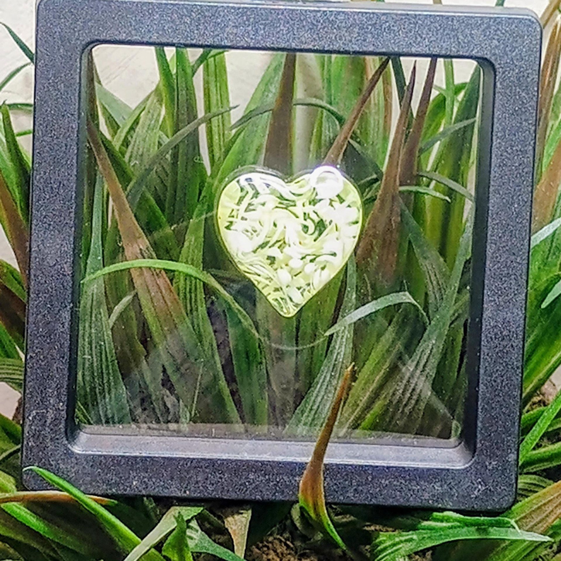 My Heart Glows! Uranium Small Heart  3/4in, vasoline glass with white swirls. lampwork pocket heart, cabachon, wire wrapping, jewelry, curio