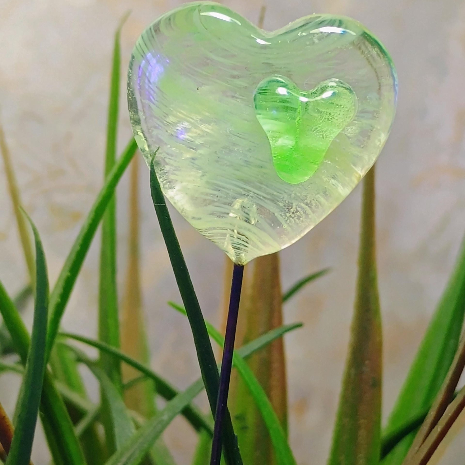 Wispy uranium vasoline glass on clear heart plant pick on 5in wire. Use for floral bouquet, plants, jewelry, gifts; handmade; 395nm