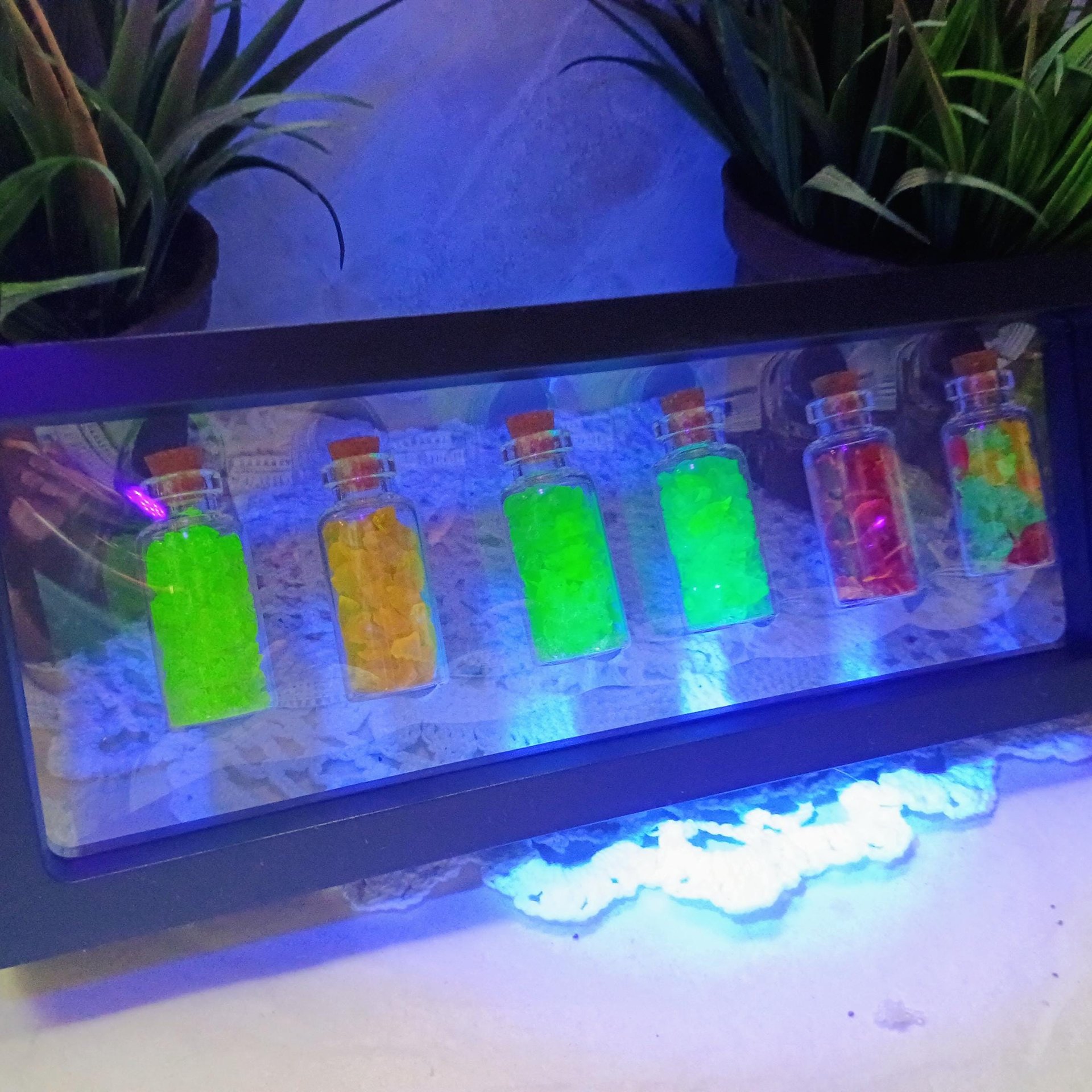 Uranium UV Glass Chips in Larger 1.75" Bottle Jar; Uranium, Green, Blue, Yellow, Amberina; curio, jewelry, mixed media, UV GLOW 365nm 395nm