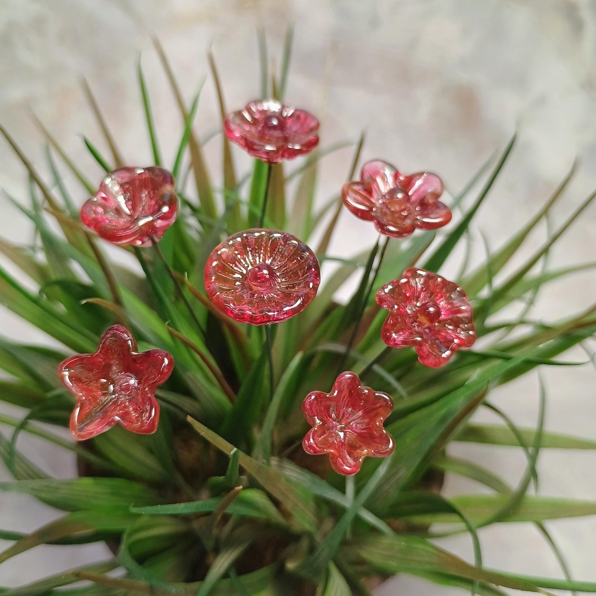 Variegated Cranberry glass flower on wire headpins; tiny small mini glass flowers  handmade lampwork, jewelry, bouquets, gifts, mixed media