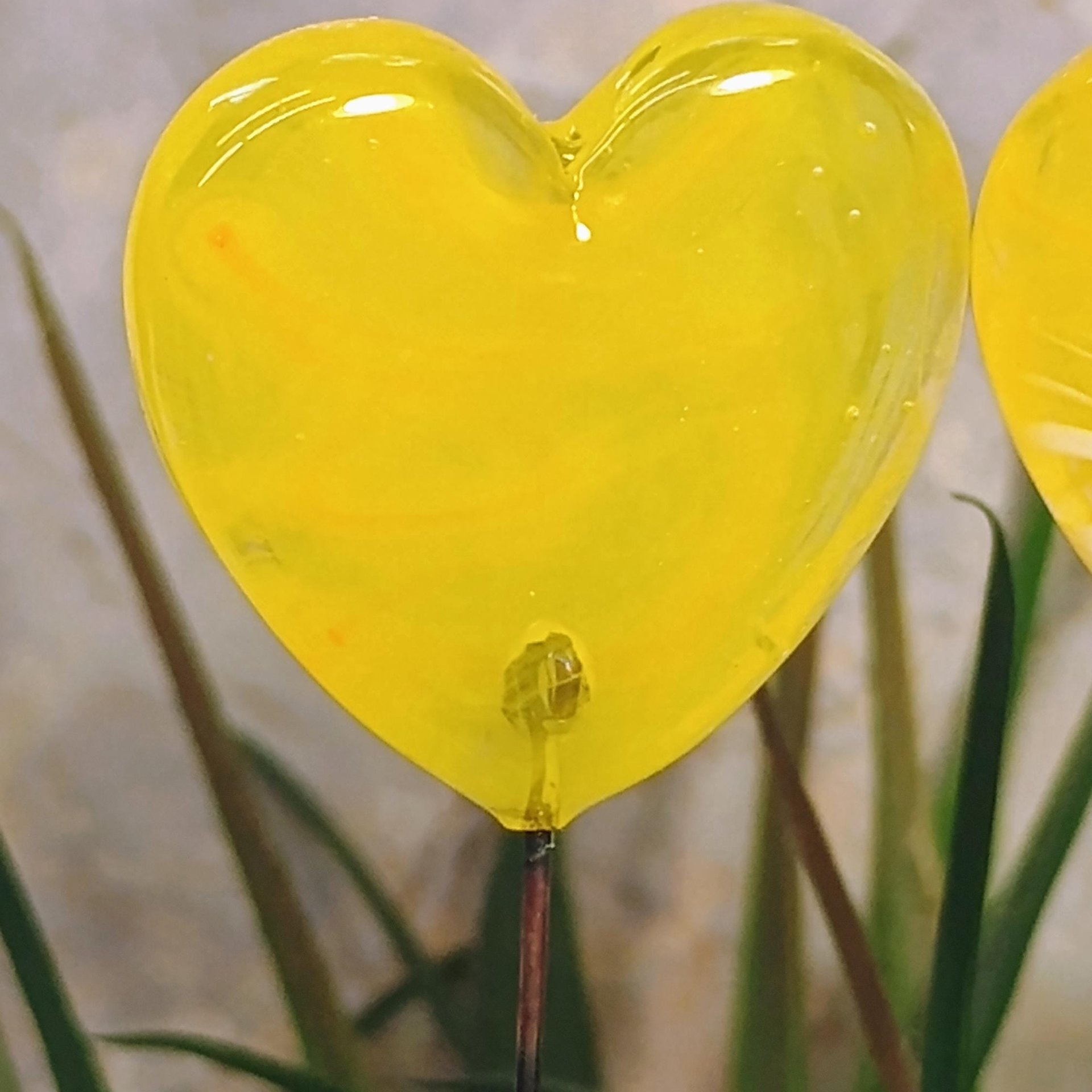 Glass Heart Plant Pick, Yellow Sunshine Summer 5in wire. Use for floral bouquet, wedding, cake decor, plants, jewelry, gifts; handmade 3/4in