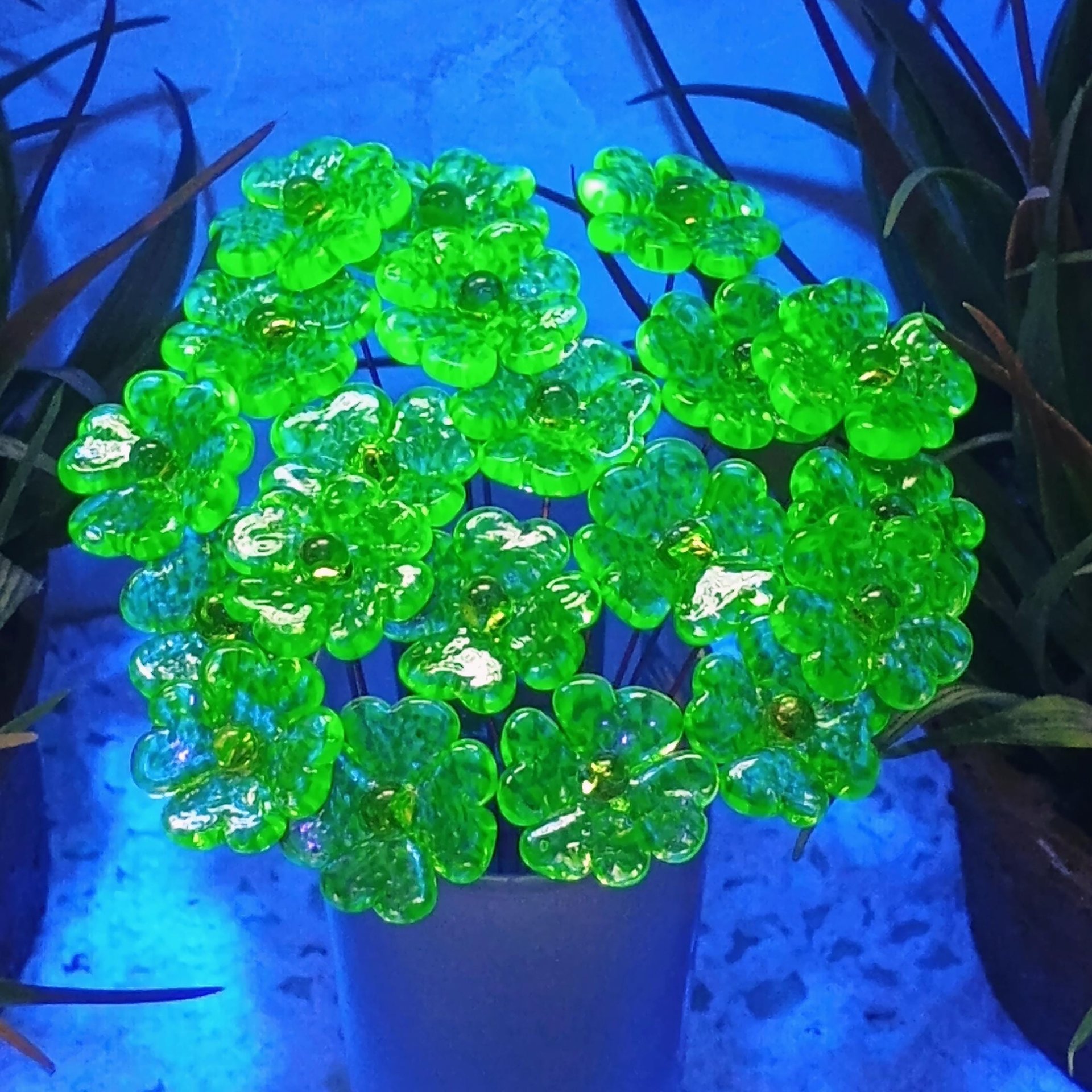 Uranium Glass 4 leaf Clover Shamrock, Luck of the Irish, green sprinkle frit; lampwork plant pick on 5in wire. Bouquet, Irish gift, 395nm