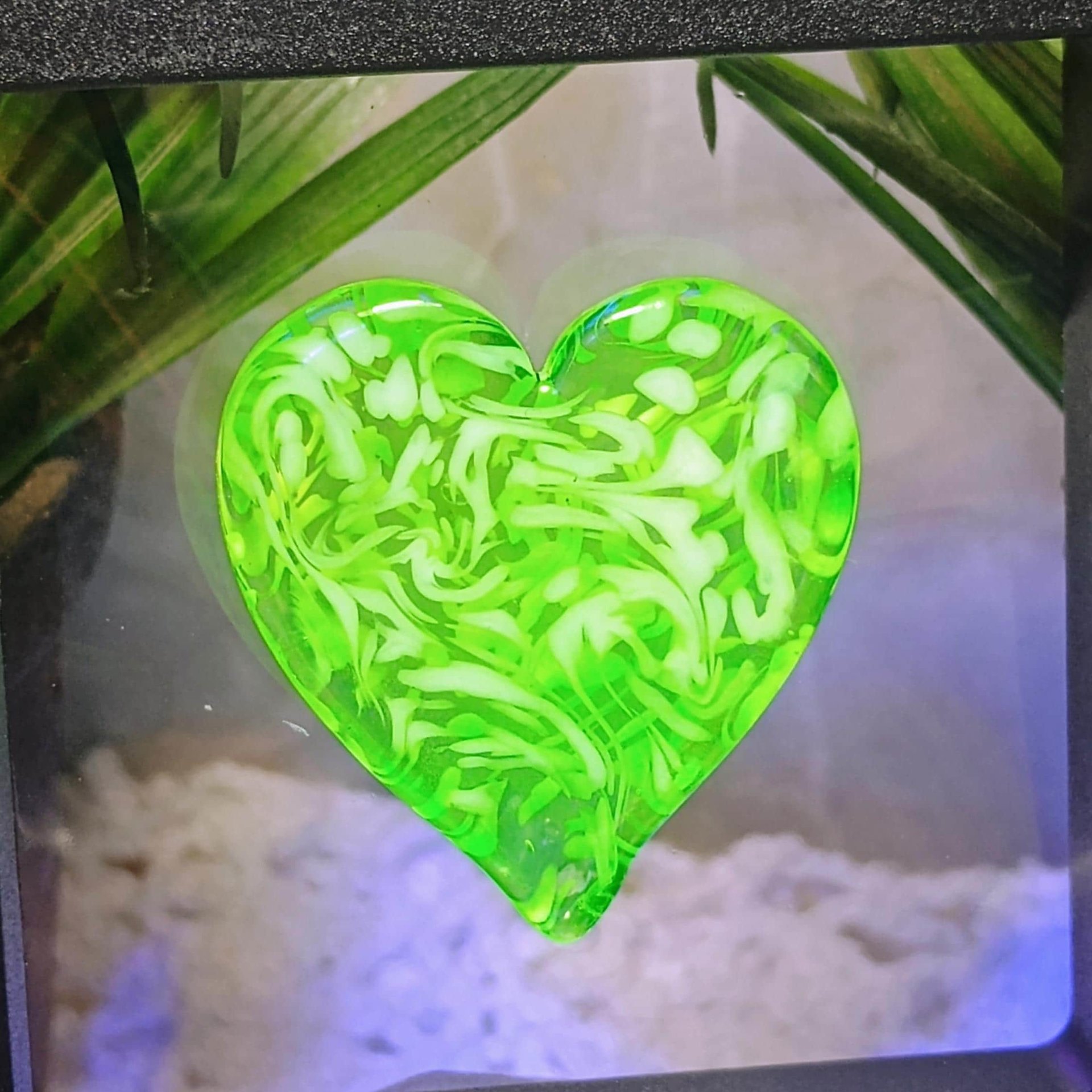 My Heart Glows! Uranium Large Heart 1.25" (30mm) vasoline glass with white victorian-lace swirls; wirewrapping, jewelry, pocket heart, gift,