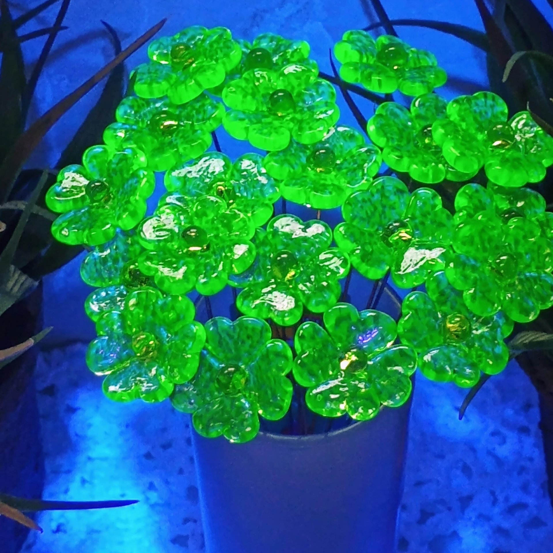 Uranium Glass 4 leaf Clover Shamrock, Luck of the Irish, green sprinkle frit; lampwork plant pick on 5in wire. Bouquet, Irish gift, 395nm