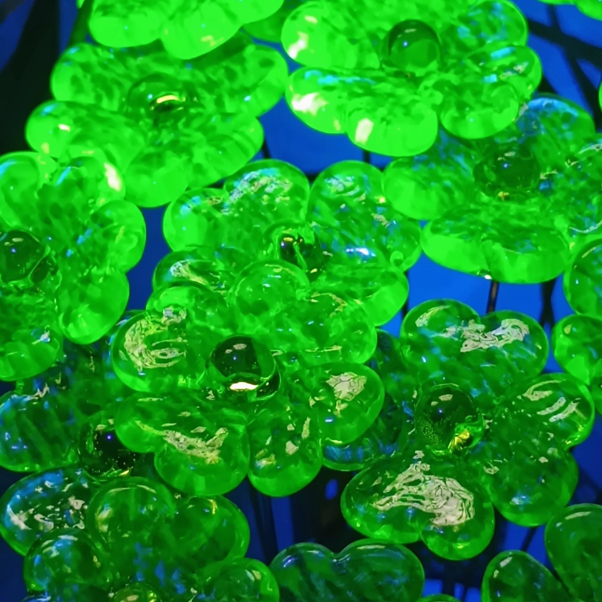 Uranium Glass 4 leaf Clover Shamrock, Luck of the Irish, green sprinkle frit; lampwork plant pick on 5in wire. Bouquet, Irish gift, 395nm