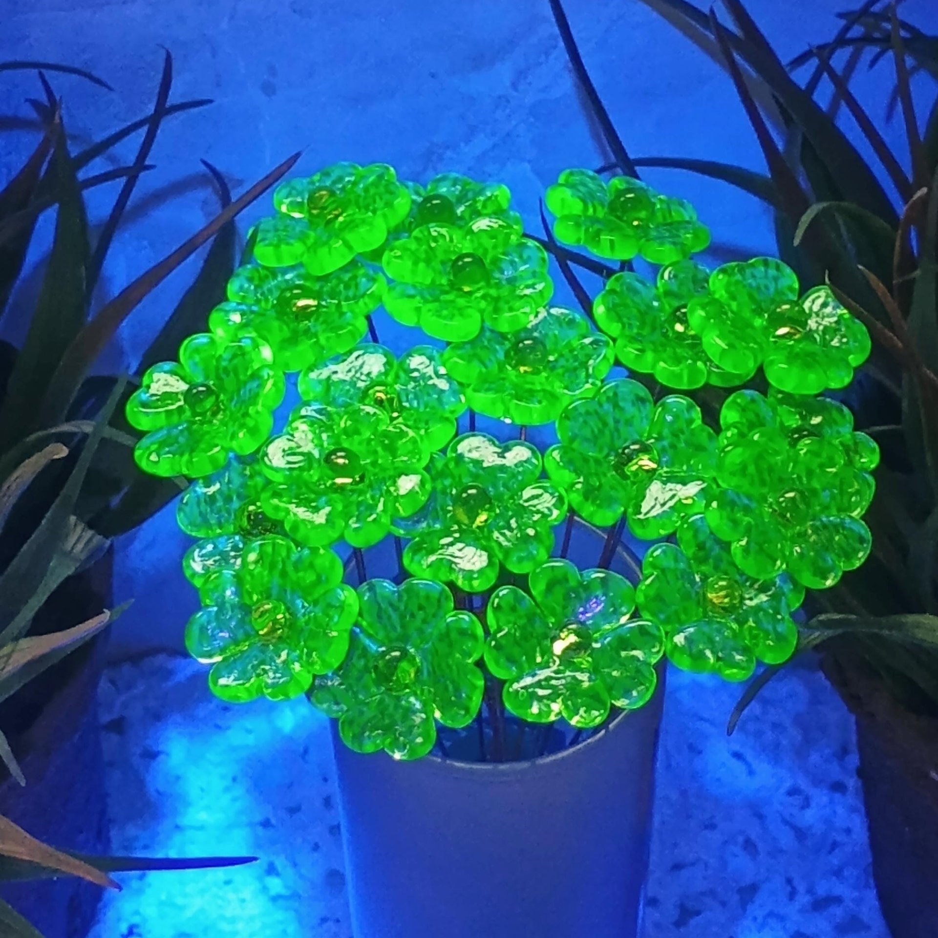 Uranium Glass 4 leaf Clover Shamrock, Luck of the Irish, green sprinkle frit; lampwork plant pick on 5in wire. Bouquet, Irish gift, 395nm