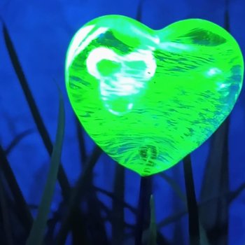 Wispy uranium vasoline glass on clear heart plant pick on 5in wire. Use for floral bouquet, plants, jewelry, gifts; handmade; 395nm