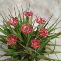 Variegated Cranberry glass flower on wire headpins; tiny small mini glass flowers  handmade lampwork, jewelry, bouquets, gifts, mixed media