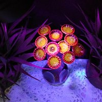 FIRE UV Reactive translucent ~glass flower miniature tiny small glass flowers on wire headpins; individually crafted lampwork; amber/red UV