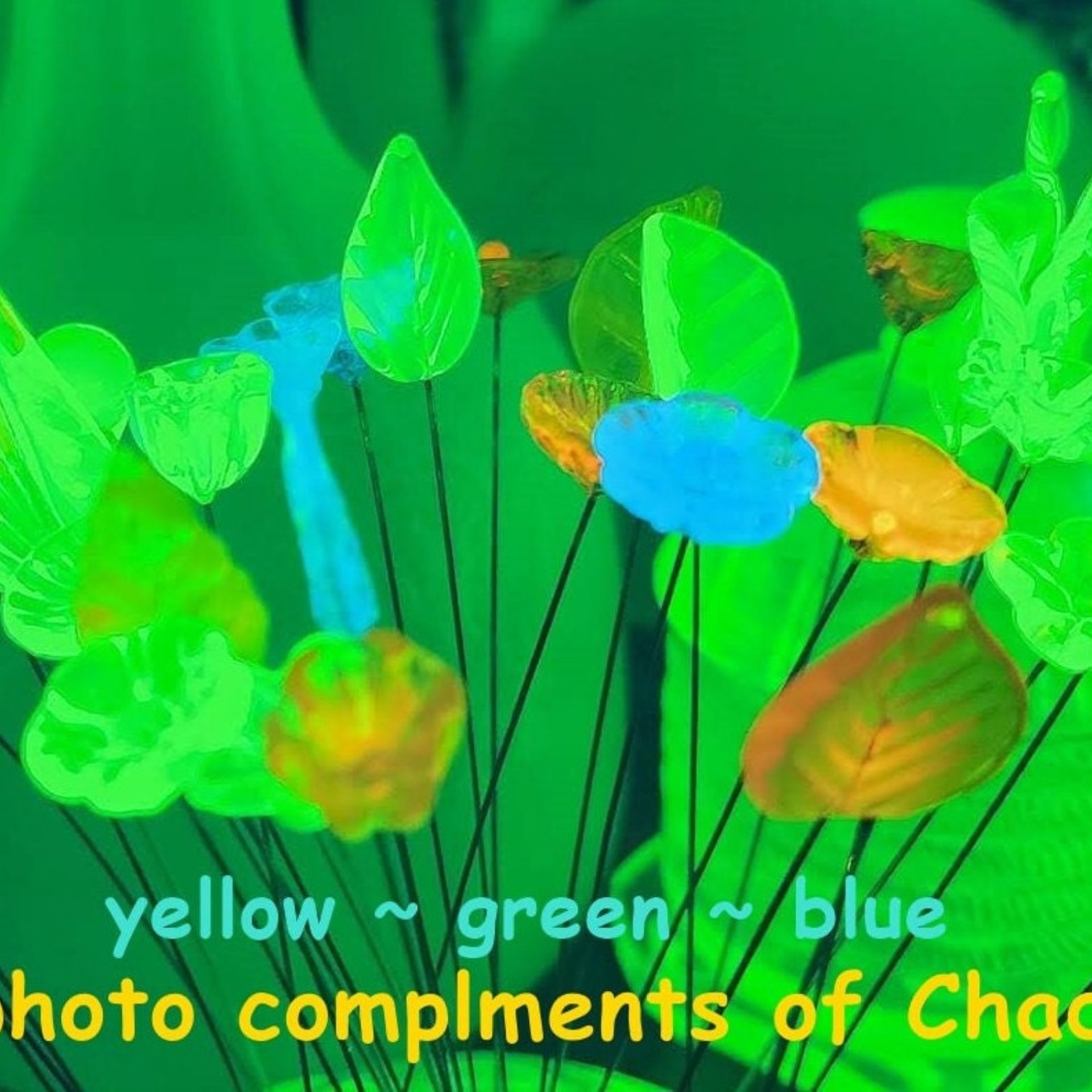 UV Reactive Yellow/Amber mini tiny small glass flowers on 5" wire, handcrafted lampwork, glows in uv light,colors vary due to glass density
