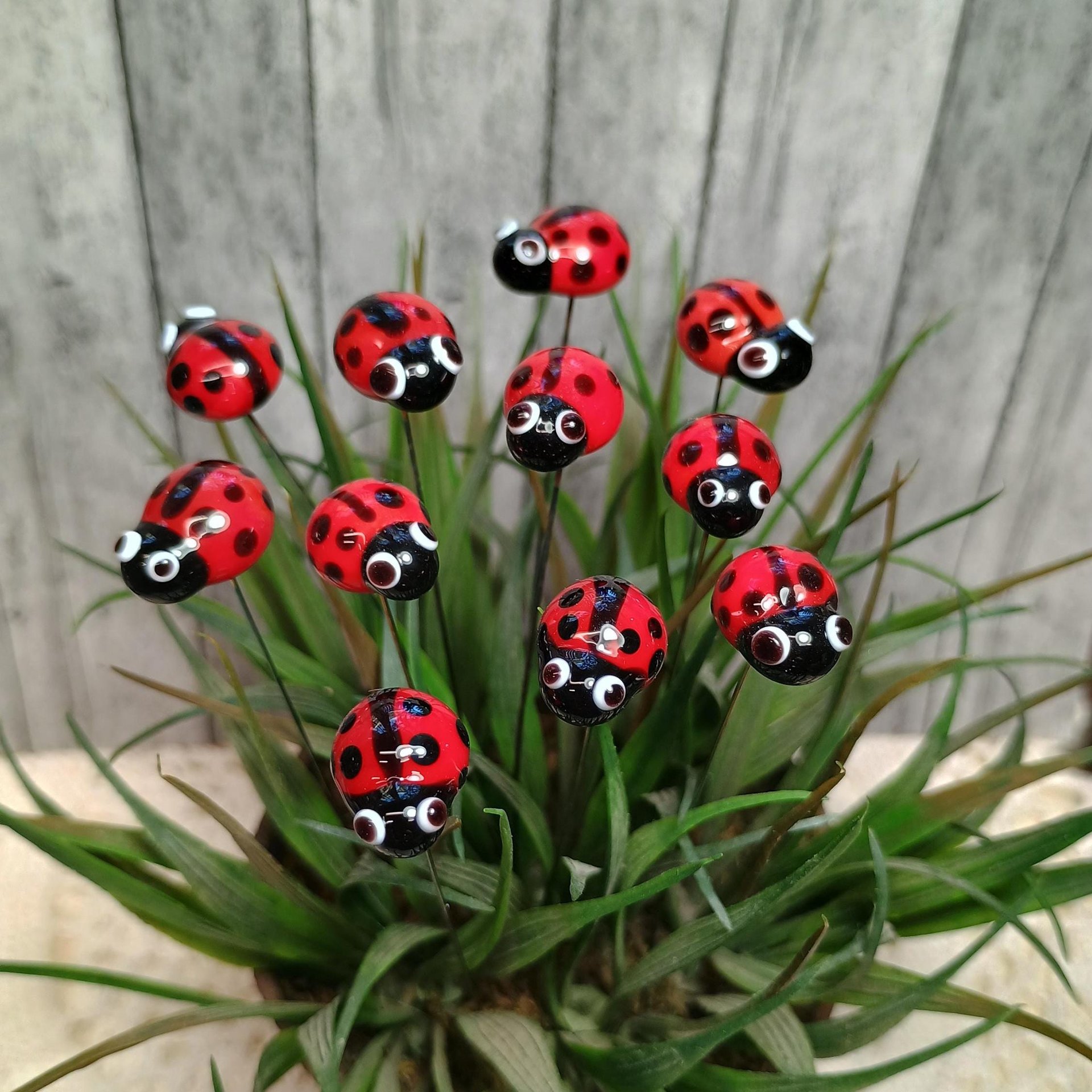 Glass ladybug floral plant pick on 5 inch stainless steel wire. Plant stake, plant pick, fairy garden, mini bug, gift; lampwork each unique