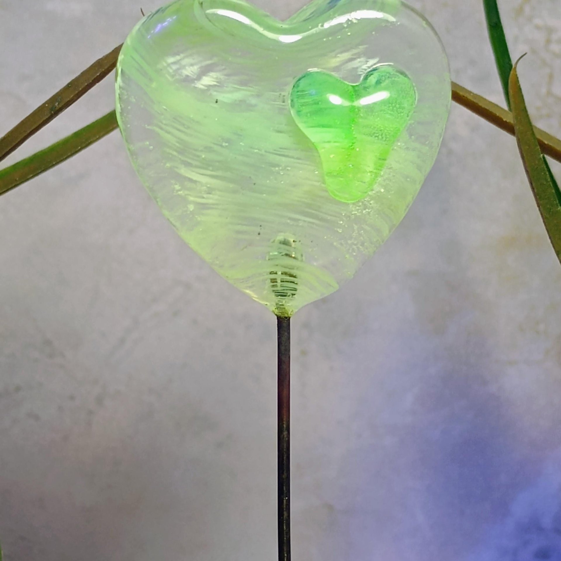 Wispy uranium vasoline glass on clear heart plant pick on 5in wire. Use for floral bouquet, plants, jewelry, gifts; handmade; 395nm